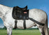 Equicore Complete Equiband Pro System